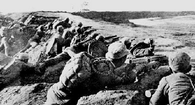 kaiyun开云网页版|诺贝芯宝辅酶Q10 延缓衰老(图3) kaiyun开云官方在线登录