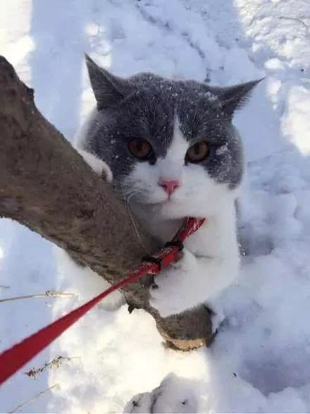 kaiyun网页登录入口