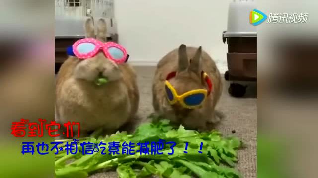 kaiyun开云网页版