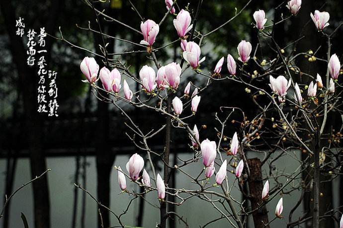 蜂蜜是老年人的绝好“牛奶”-kaiyun开云官方在线登录(图1) kaiyun开云网页版