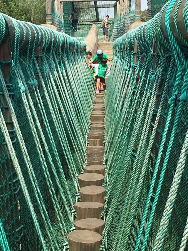 kaiyun开云官方在线登录