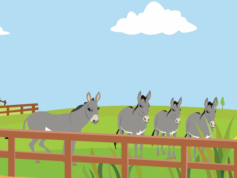 kaiyun网页登录入口