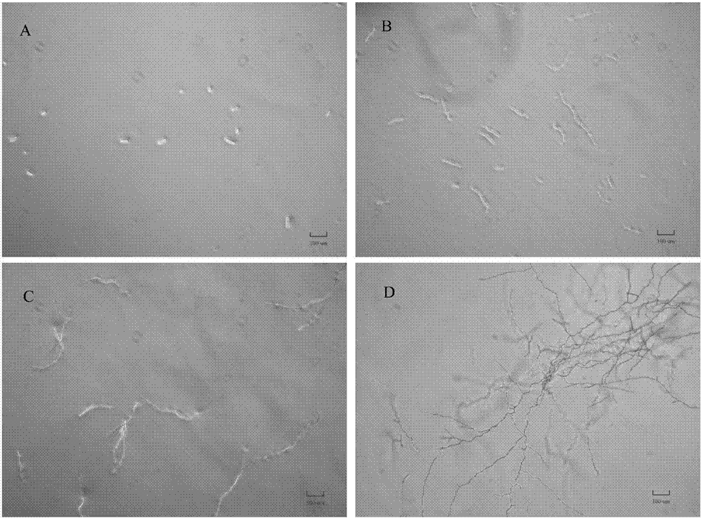 kaiyun开云网页版