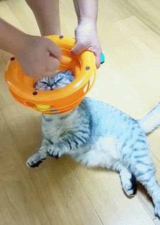 kaiyun开云网页版