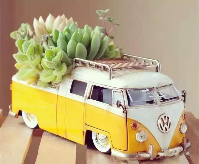 “kaiyun网页登录入口”县供销社积极营造扫黑除恶社会宣传氛围(图2) kaiyun开云网页版