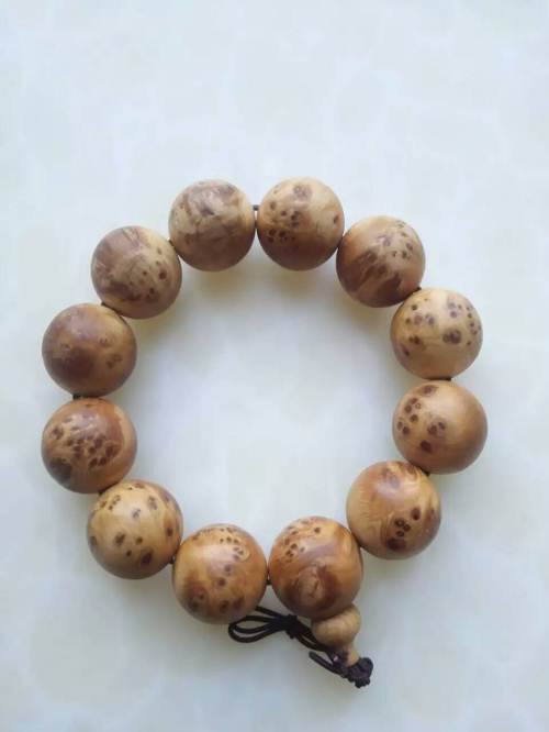 kaiyun开云官方在线登录-到2022年加蓬所有森林特许权必须通过FSC的认证(图2) kaiyun网页登录入口