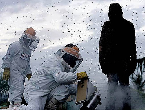 kaiyun开云官方在线登录