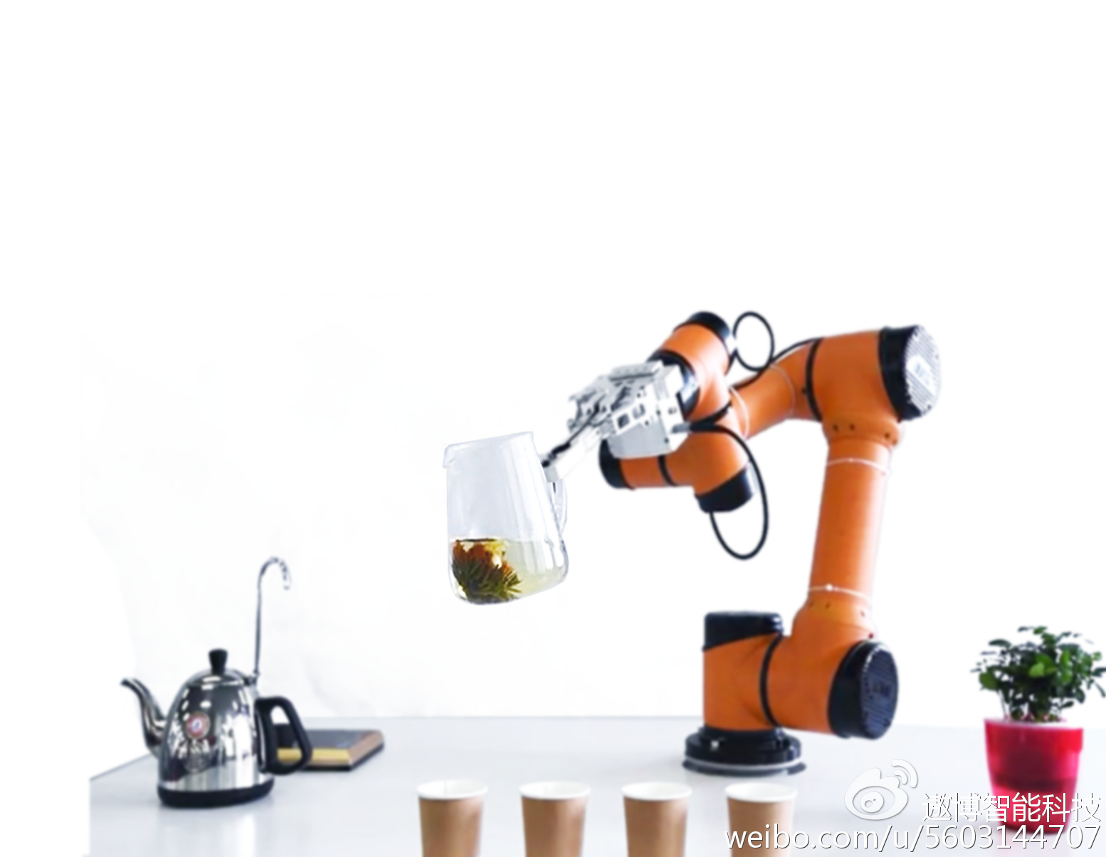 kaiyun开云网页版_钟政发〔2019〕6号 钟山县人民政府关于收储县陶瓷厂部分国有土地使用权的决定(图1) kaiyun开云官方在线登录