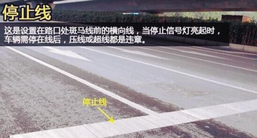 kaiyun开云网页版_钟政发〔2019〕6号 钟山县人民政府关于收储县陶瓷厂部分国有土地使用权的决定(图2) kaiyun开云网页版