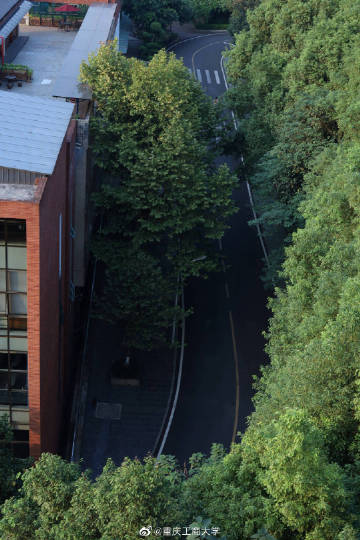 kaiyun开云官方在线登录