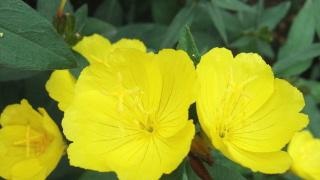 kaiyun网页登录入口