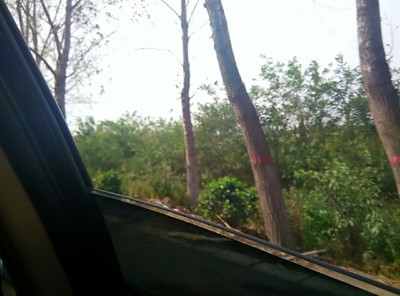 kaiyun开云官方在线登录