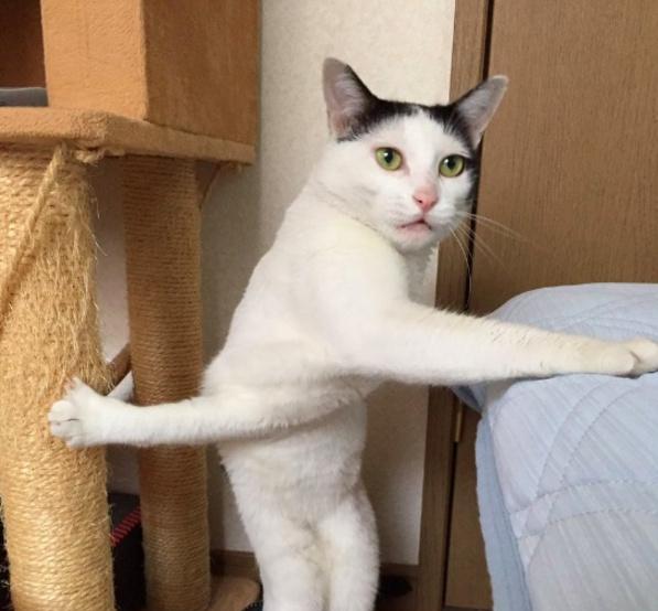 kaiyun开云官方在线登录