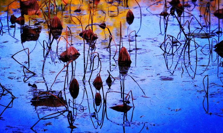 kaiyun开云官方在线登录