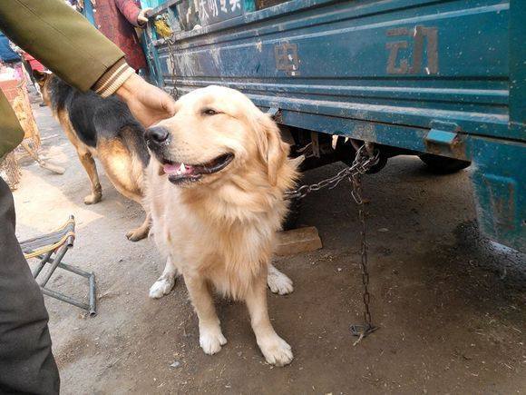 kaiyun开云官方在线登录