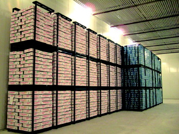 kaiyun开云网页版