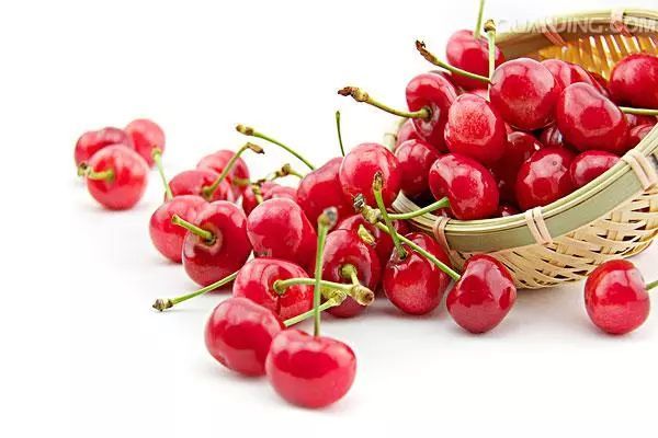 kaiyun开云网页版