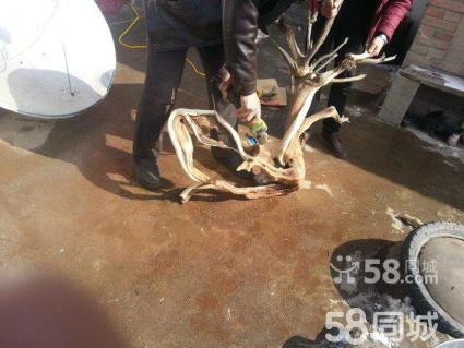 kaiyun开云网页版