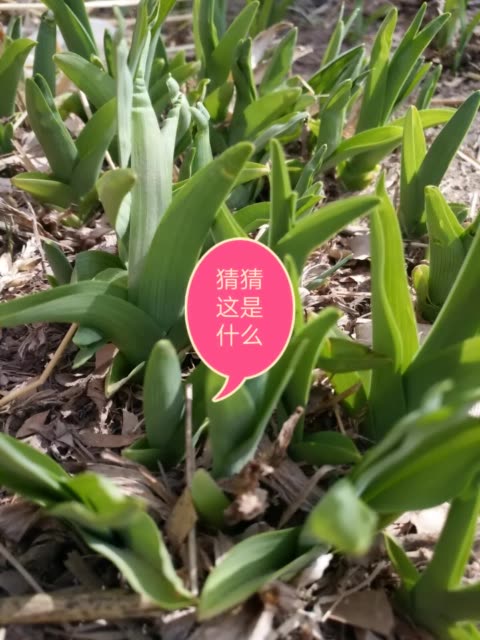 kaiyun开云网页版