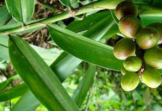 kaiyun开云网页版