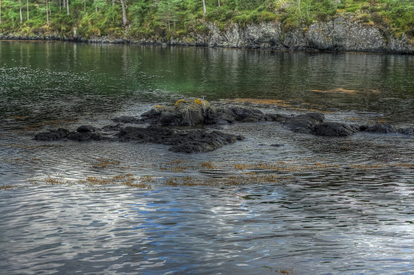 kaiyun开云网页版
