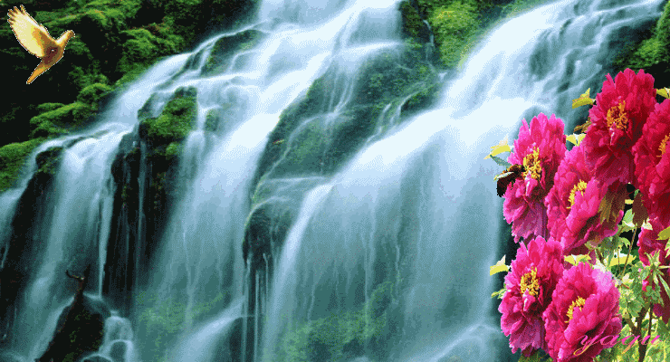 kaiyun网页登录入口