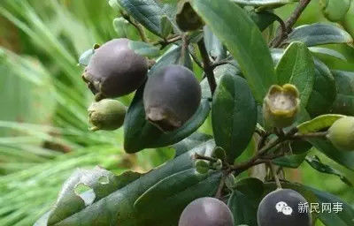 kaiyun开云官方在线登录