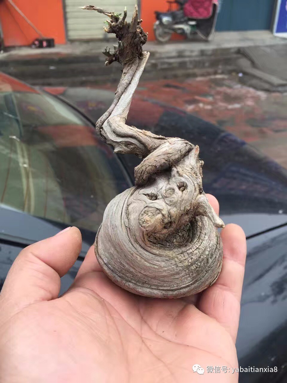 kaiyun开云网页版