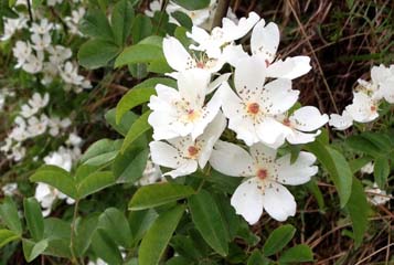 kaiyun开云官方在线登录