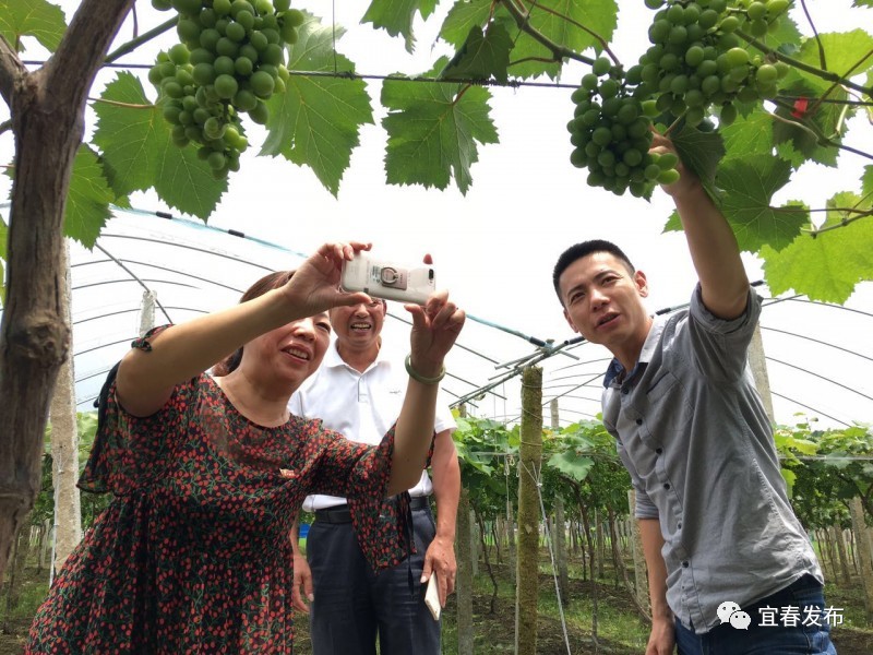 kaiyun开云官方在线登录
