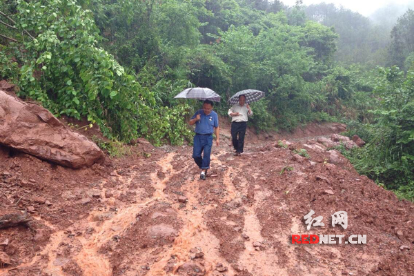 kaiyun网页登录入口