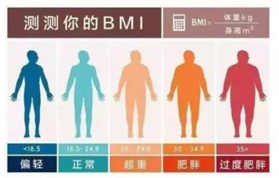 kaiyun网页登录入口